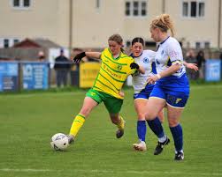 Image result for Haywards Heath Town Ladies Football Club