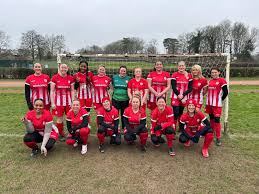 Image result for Redhill Girls Football Club