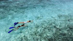 Image result for Dorking Snorkelling Club