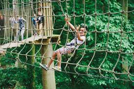 Image result for The Go Ape Experience (Swinley Forest)