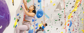 Image result for High Sports Climbing Wall