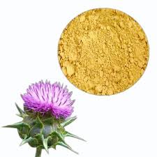 Attēlu rezultāti vaicājumam “Silybum marianum fruit”