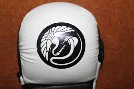 Image result for Kamon Wing Chun