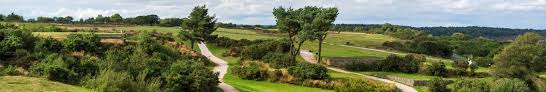 Image result for Teignmouth Golf Club Limited