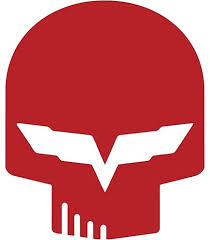 Bildresultat för jake skull