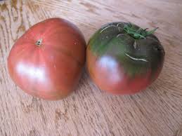 Afbeeldingsresultaat voor black sea man tomato