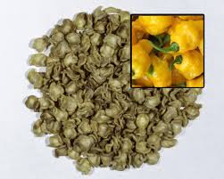 Afbeeldingsresultaat voor mme jeanette hot pepper