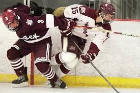 Image result for Demons Skater Hockey Club