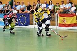 Image result for Dundee Ducks inline roller hockey club