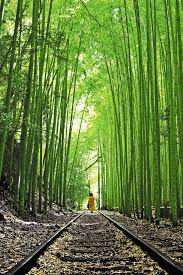 「南部こうざぶろう」の画像検索結果