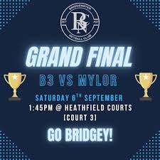 Image result for Bridgewater Netball Club