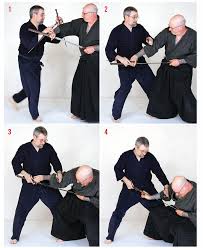 Image result for Sai Martial Arts