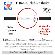 Image result for Ronin Yudansha Ryu