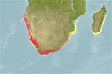 Image result for Mustelus palumbes