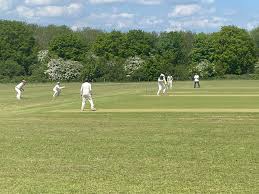 Image result for Blue Bell Hill Cricket Club