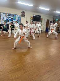 Image result for Peterborough Shorinji Kempo Club