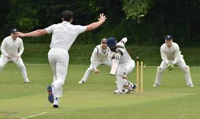 Image result for Trafford Metrovicks Cricket Club