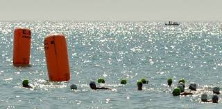 Image result for Romsey and Totton Swimming Club