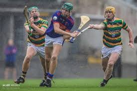 Image result for Erin`s Own Gaelic Athletic & Social Club