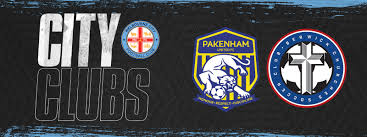 Image result for Melbourne United Football Club