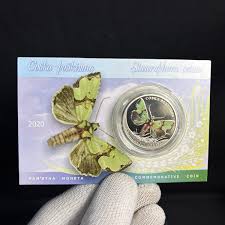 Attēlu rezultāti vaicājumam “Staurophora celsia”