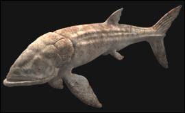 Image result for Leeds Sharks