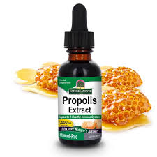 Attēlu rezultāti vaicājumam “Propolis farinosa”