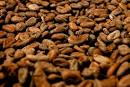 Cocoa can help protect against colon cancer | TopNews