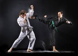 Image result for Martial Arts New Jersey