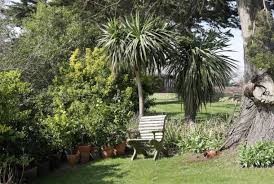 Image result for BUDLEIGH SALTERTON CROQUET CLUB