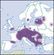 Attēlu rezultāti vaicājumam “Ena montana”