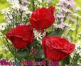 CARTES DE VOEUX amour, roses et fleurs