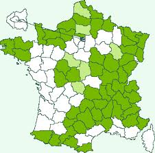 Attēlu rezultāti vaicājumam “Perizoma affinitata”