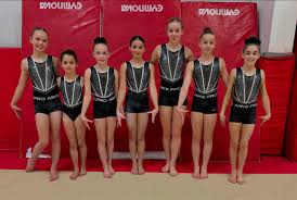 Image result for Colchester School Of Gymnastics