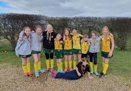 Image result for Norwich Dragons Hockey Club