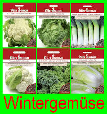 Image result for Grünkohl