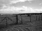 Cross Law is an amazing viewpoint and it was not a surprise to find evidence - via Daymix