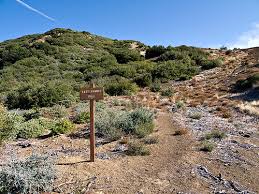 Image result for site:net pino◆MatthewZ8E