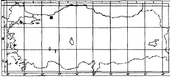 Attēlu rezultāti vaicājumam “Chaerophyllum aromaticum fruit”