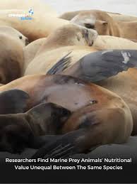 Image result for DeeperBlue.net Tribe (South London)