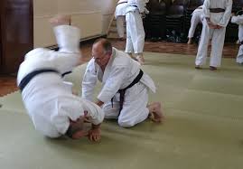 Image result for Dumfries Wado Ryu  Karate club