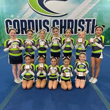 Image result for Gym Stars Cheerdancing Club