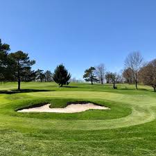 Image result for Patchett`s Green Riding Club