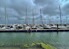 Image result for Royal Lymington Yacht Club