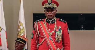 Attēlu rezultāti vaicājumam “Oligonema affine”