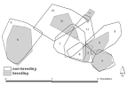 Western Gray Squirrel Ecology: Home Range and Nest Use by Western ...