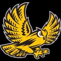 Image result for Bryn Badminton Club