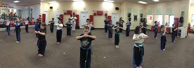 Image result for Windsor Karate Club
