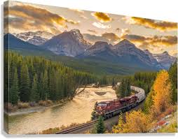 Résultat de recherche d'images pour "morant's curve"