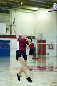 Image result for Halwill Badminton Club